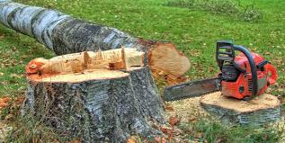 Best Arborist Consultation Services  in Commercial Point, OH